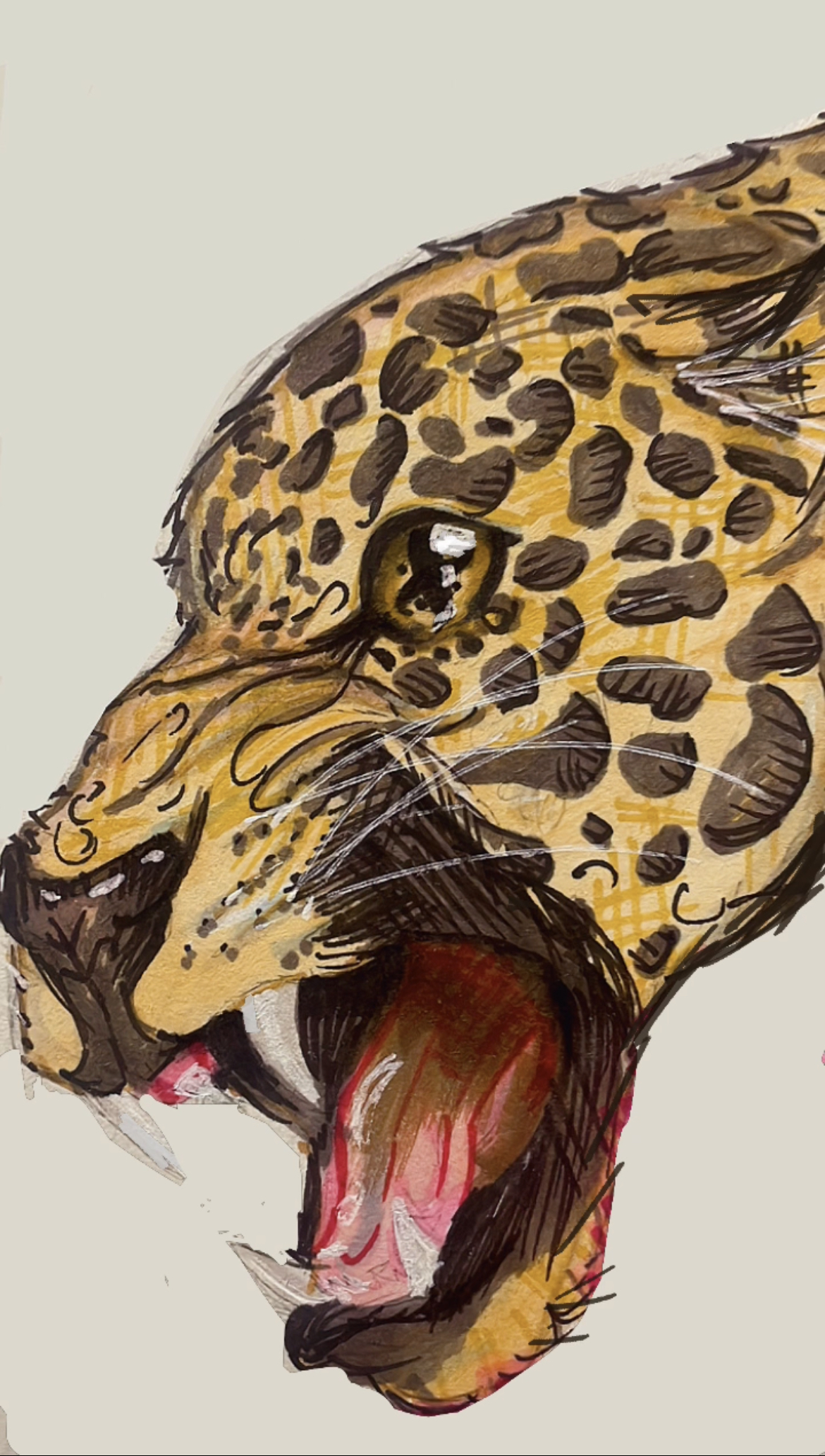 Ilustracion jaguar de perfil abriendo la boca