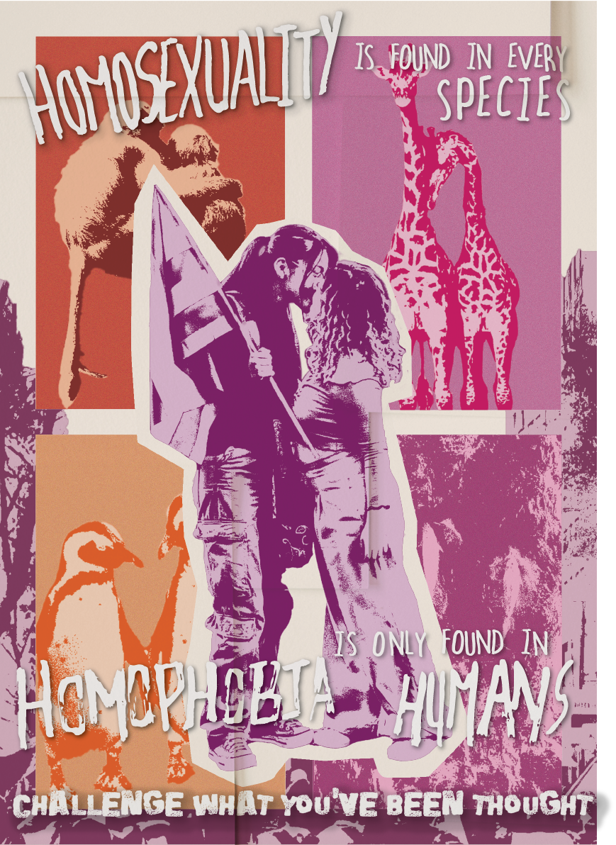 Diseño en contra de la homofobia 
